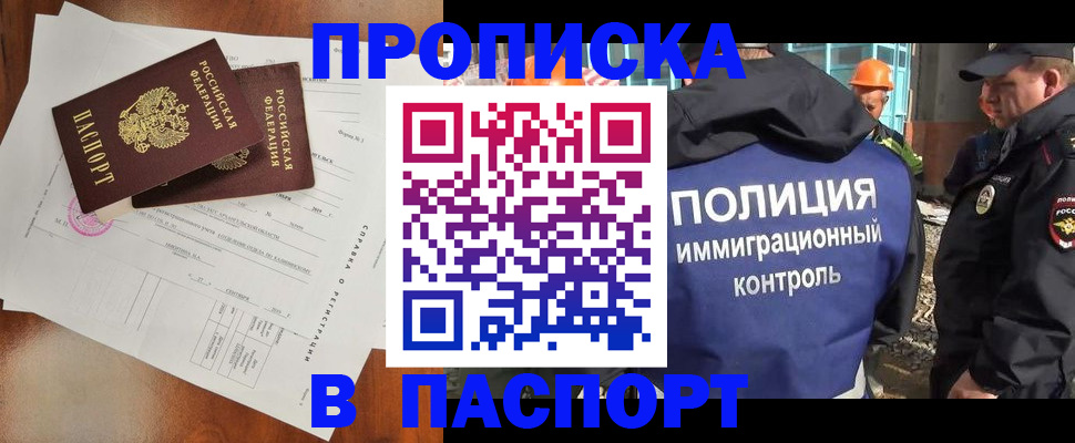 где прописаться в Нелидово